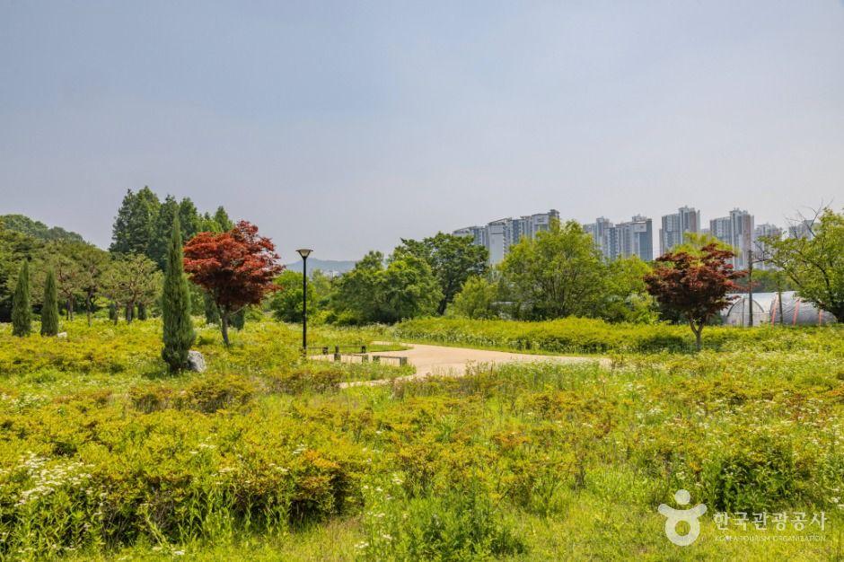 연희공원 7