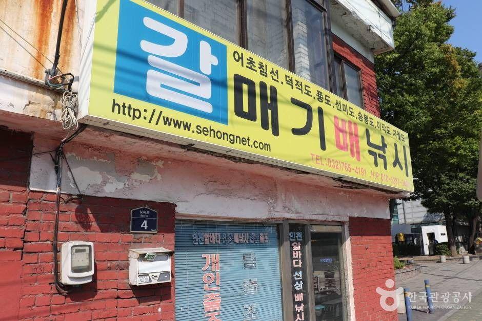 갈매기배낚시 1