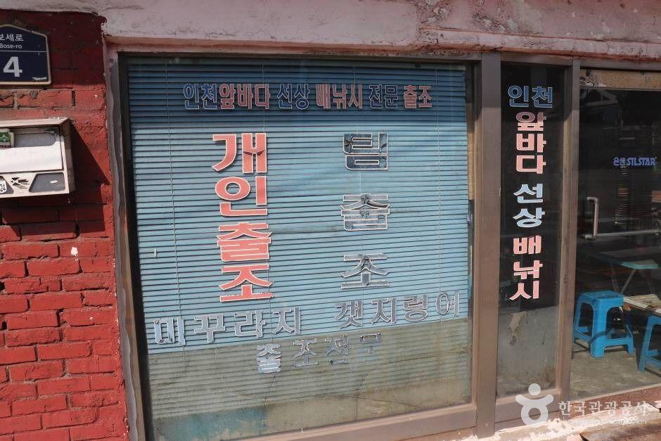 갈매기배낚시 2