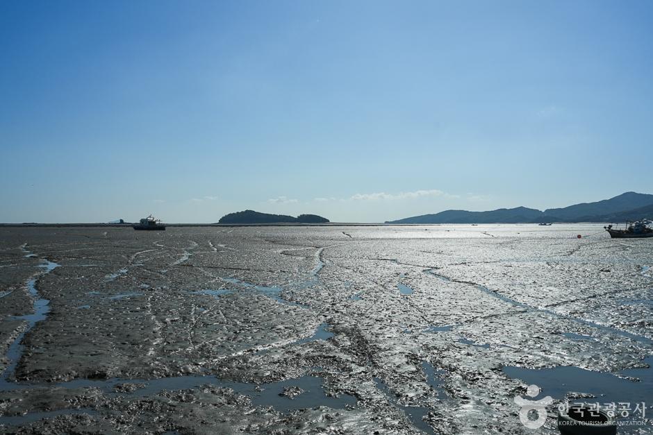 거잠포해변 11