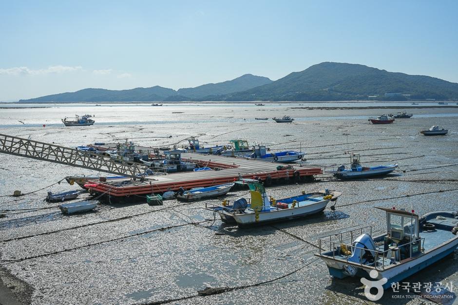 거잠포해변 14