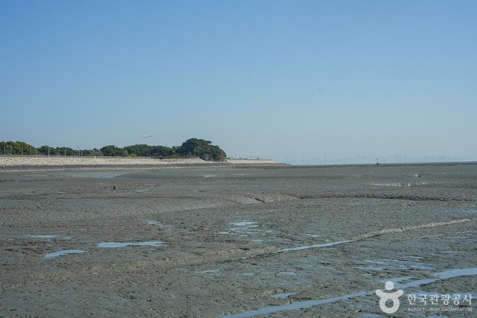 거잠포해변 15