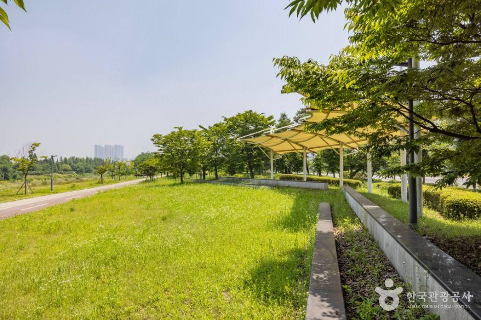 늘푸른공원 3