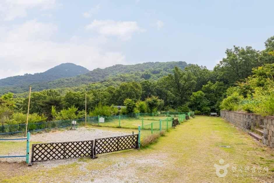 석모도 부자캠핑 4