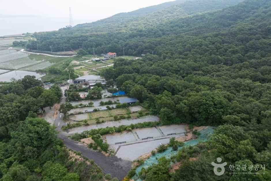 석모도 부자캠핑 13