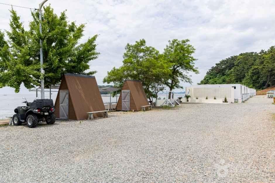 자바카라반 7