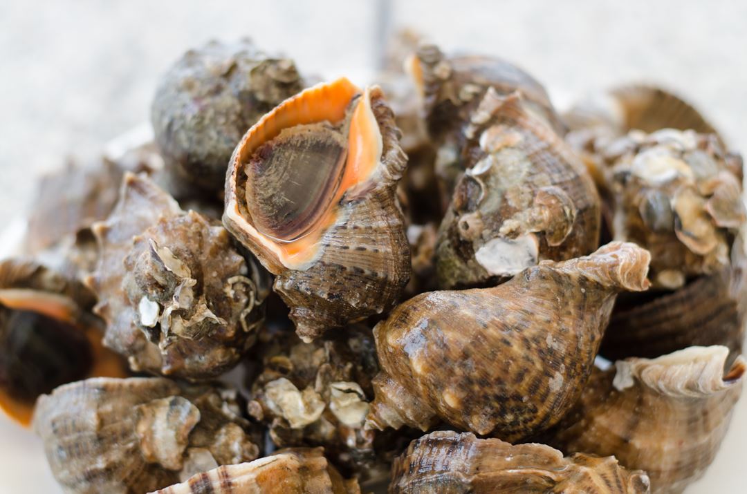 섬사랑굴사랑 5