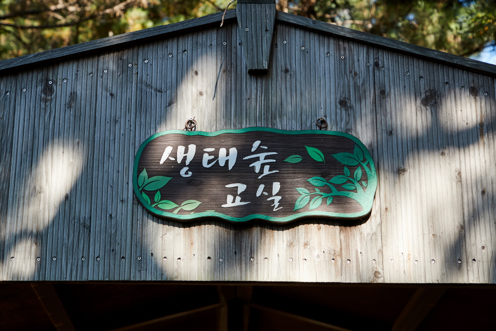 수봉공원 유아 숲 체험원 2