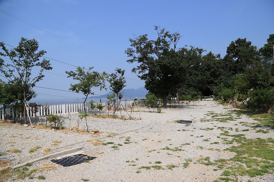 동검도노을캠핑장 5