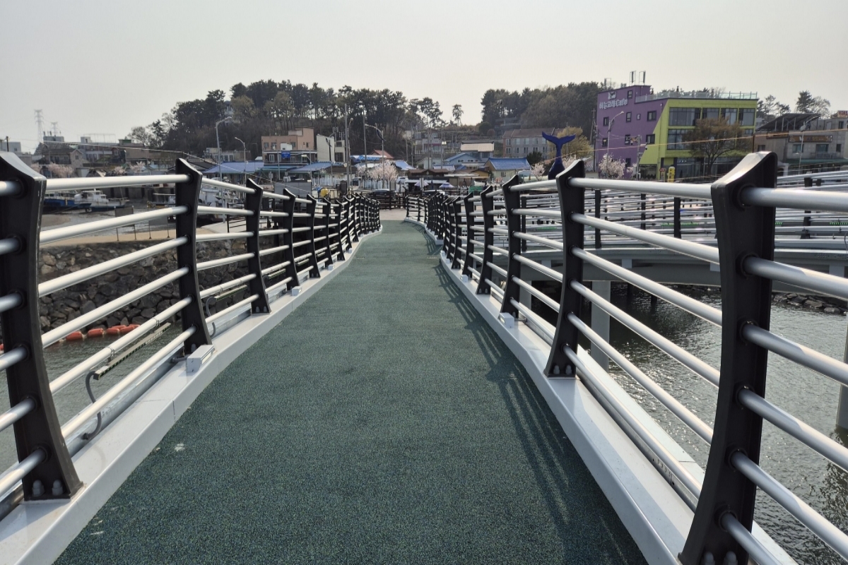 영흥 반딧불이 하늘고래 스카이워크 04