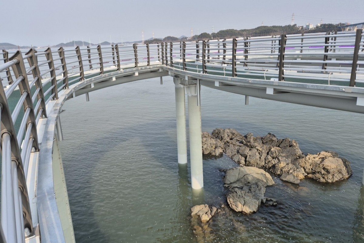 영흥 반딧불이 하늘고래 스카이워크 05