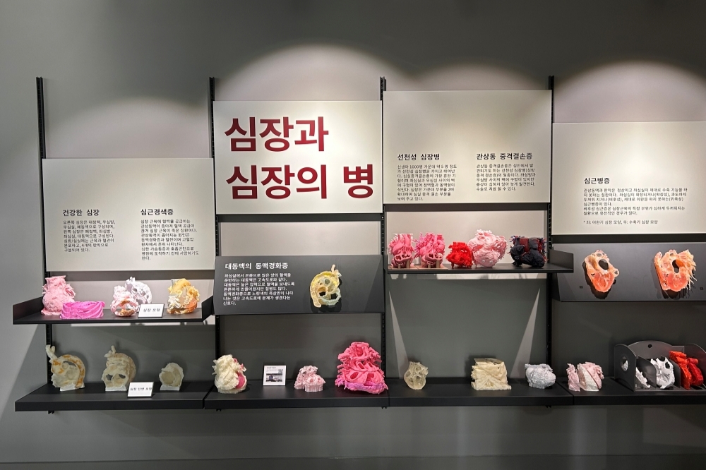 심장박물관 6