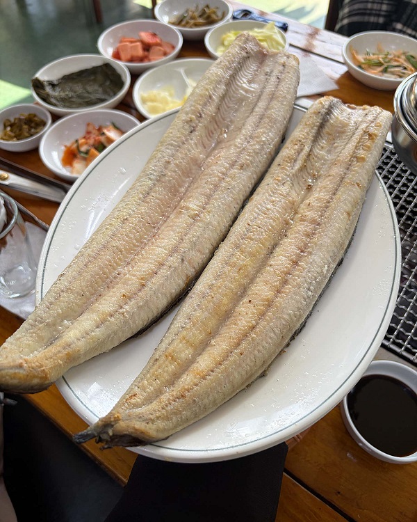 강화갯벌장어직판장