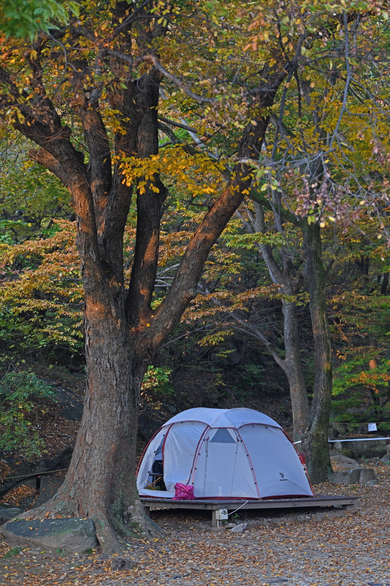 함허동천야영장