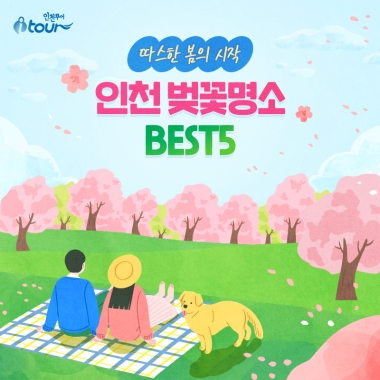 따스한 봄의 시작, 인천 벚꽃명소 BEST5