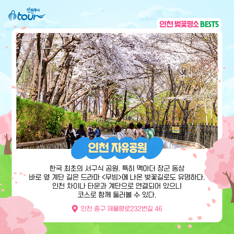 인천투어 인천 벚꽃 명소 BEST5 한국 최초의 서구식 공원. 특히 맥아더 장군 동상 바로 옆 계단 길은 드라마 <무빙>에 나온 벚꽃길로도 유명하다. 인천 차이나 타운과 계단으로 연결되어 있으니 코스로 함께 둘러볼 수 있다. 인천 중구 제물량로232번길 46 