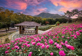 인천의 여름 꽃 성지