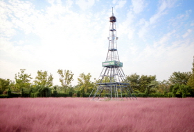 인천의 가을꽃 성지