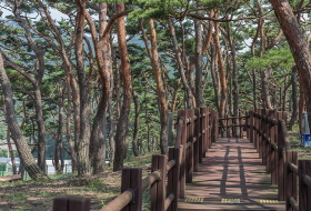자전거 라이딩 명소 – 인천 섬