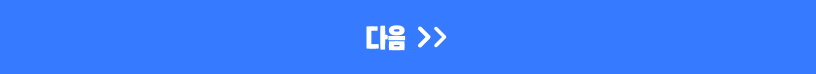 다음