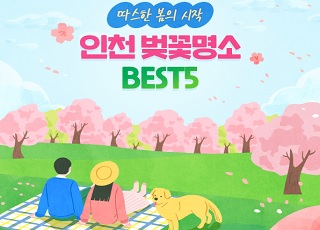 따스한 봄의시작,인천 벚꽃명소 BEST5