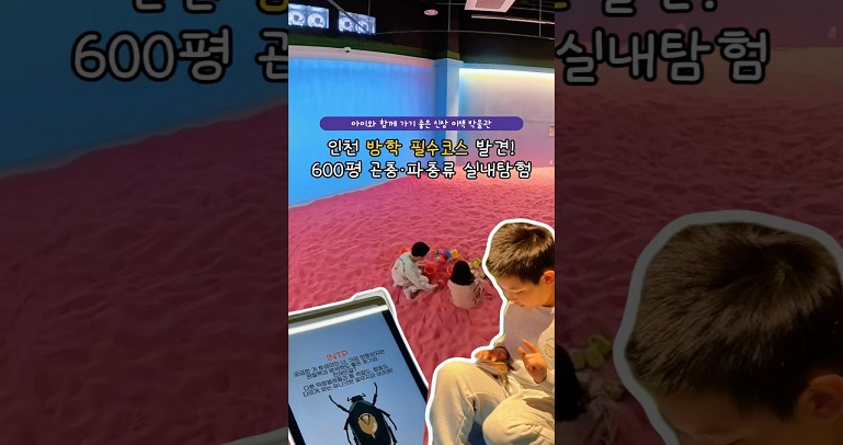 인천방학 필수코스 발견 600평 곤충.파충류 실내탐험