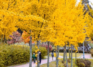 인천 시민들이 좋아하는 공원