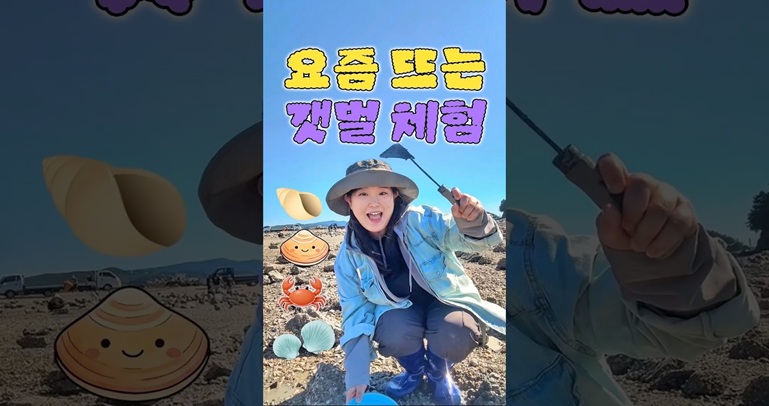 요즘뜨고있다는 갯벌체험 선재도