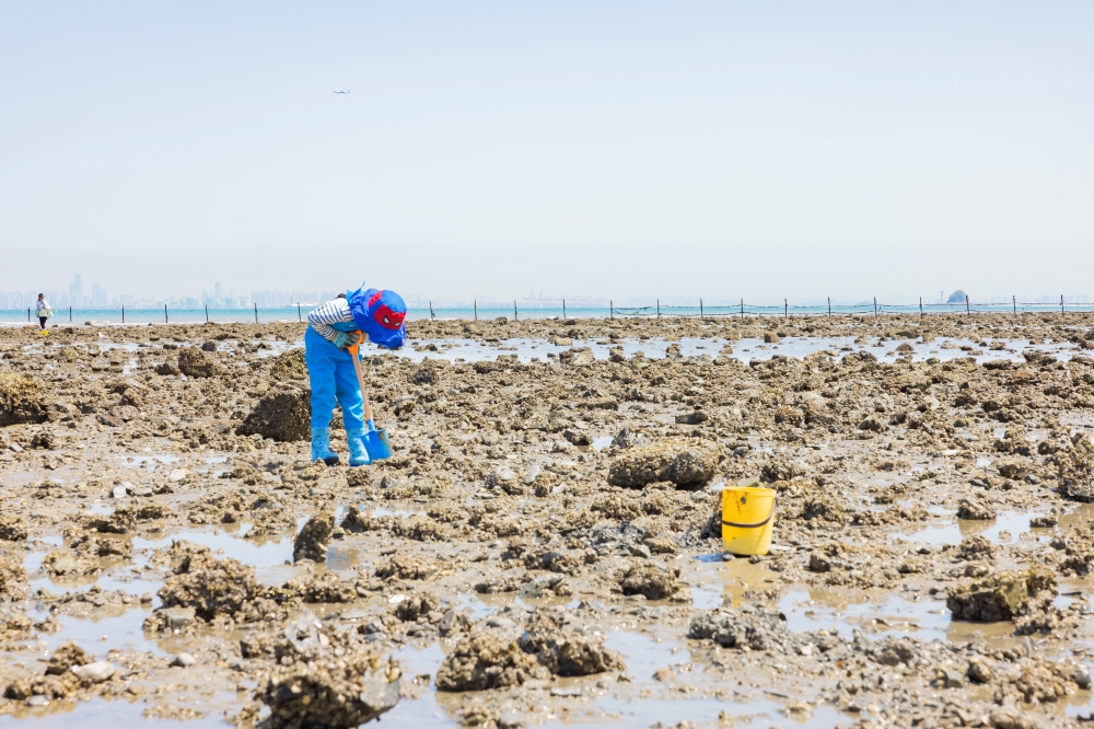 灵兴岛十里浦海水浴场 20