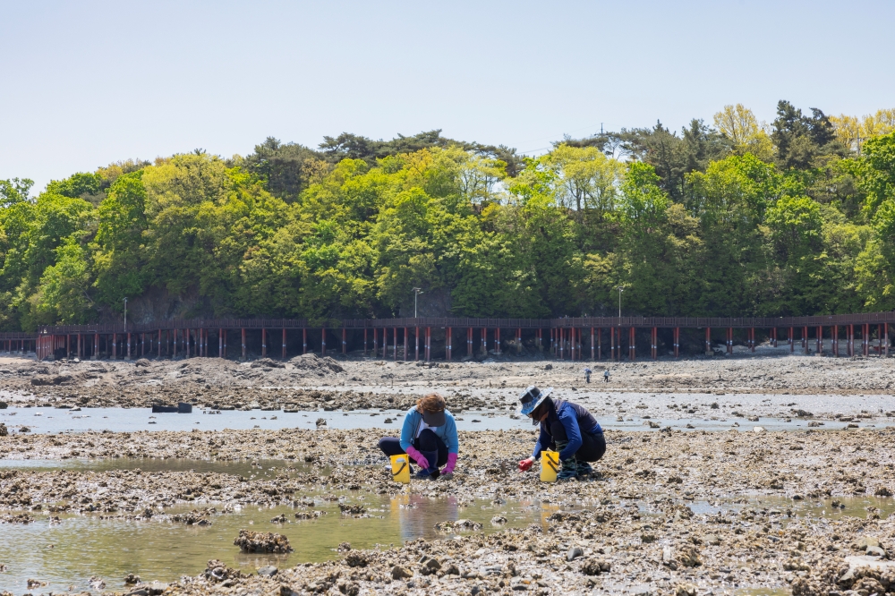 Simnipo Beach on Yeongheungdo Island 17