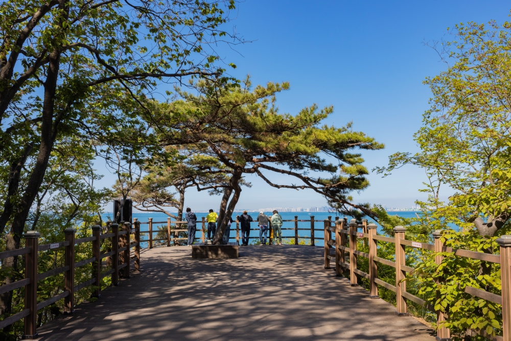 霊興島十里浦海水浴場 10