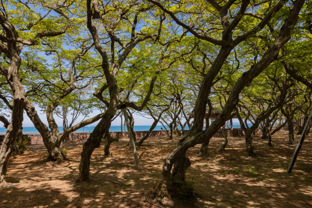 Simnipo Beach on Yeongheungdo Island 07