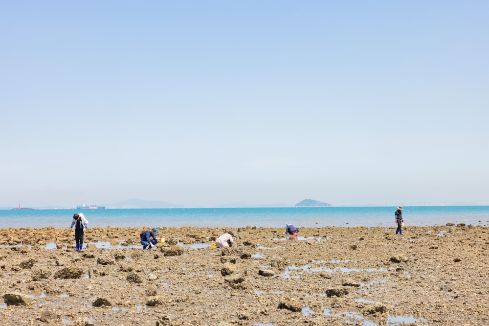 Simnipo Beach on Yeongheungdo Island 14