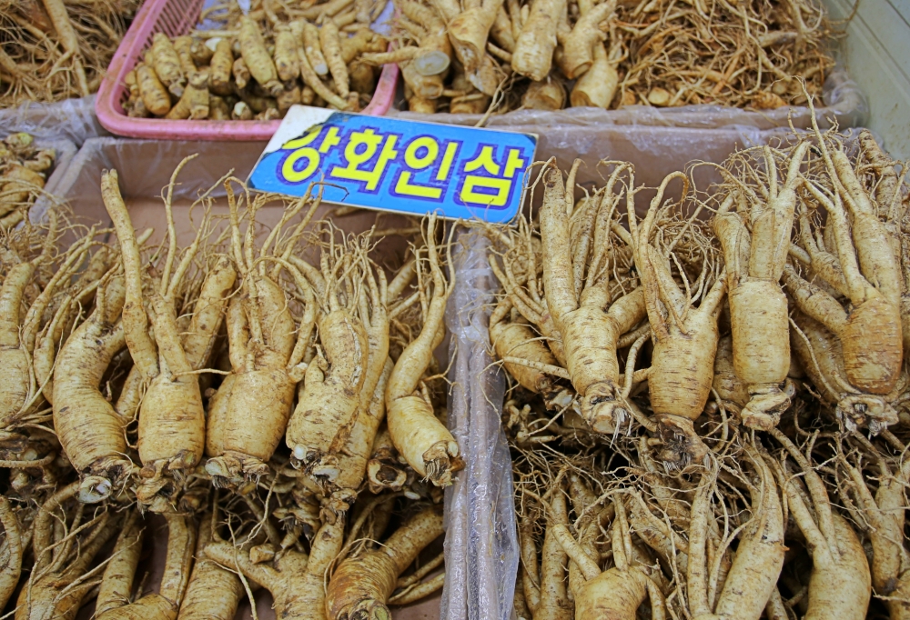 Ganghwa Ginseng Center and Souvenir Shop 02