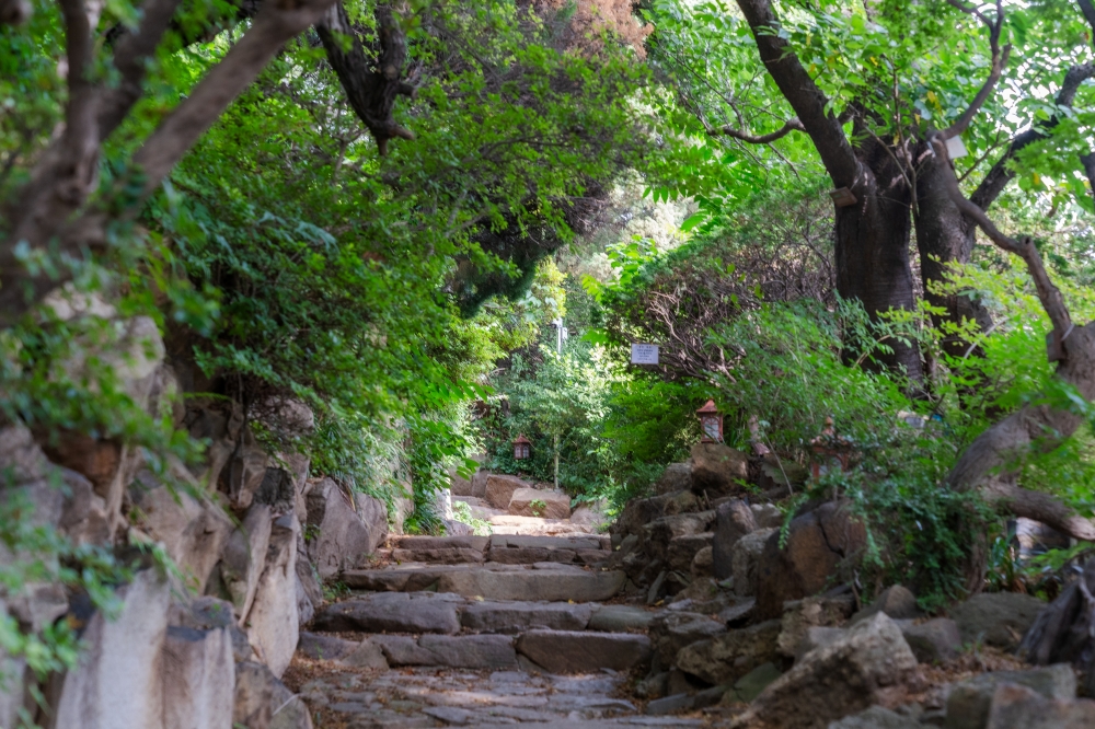 인천시민애(愛)집(옛 송학동 시장관사) 07