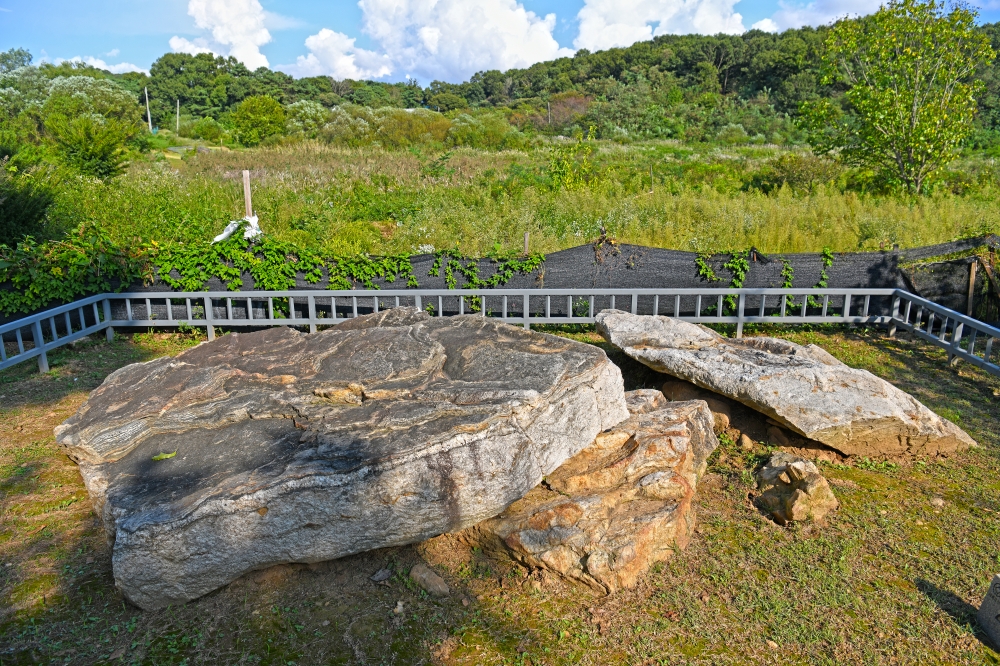 Ganghwa Dolmen Park 03