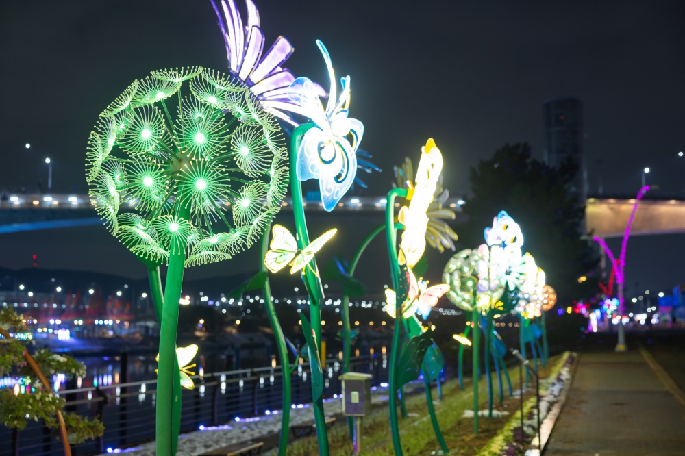 Gyeyang Araon Street of Lights 02