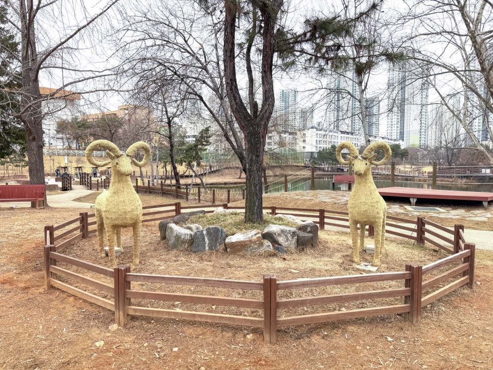 Neulsolgil Park Sheep Farm 04