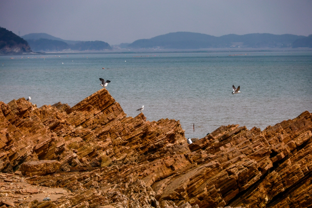 노가리해변 해식동굴 03