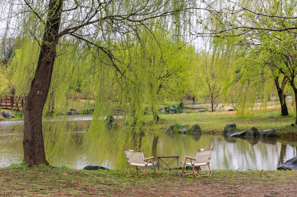 Yeonhui Nature Garden 01