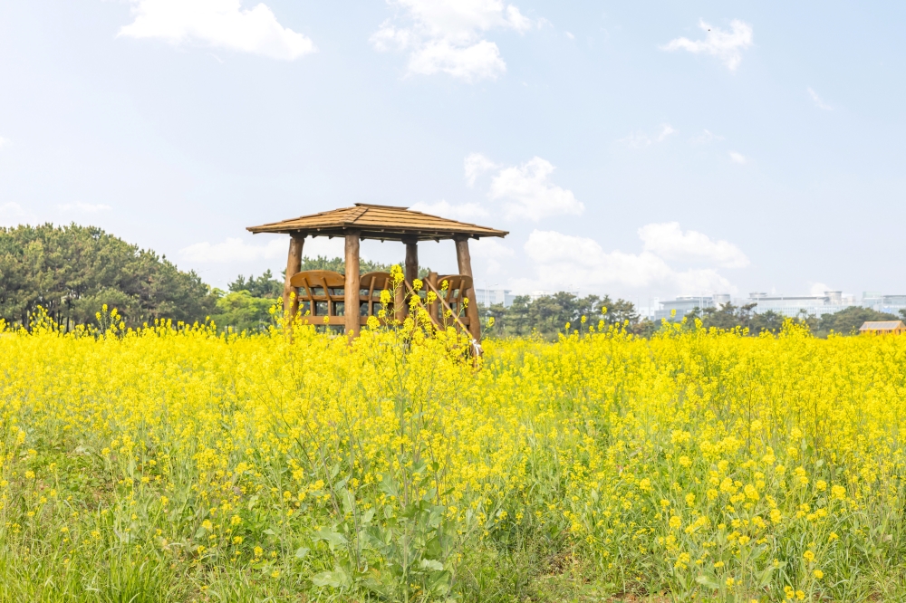 Haneul Garden 04