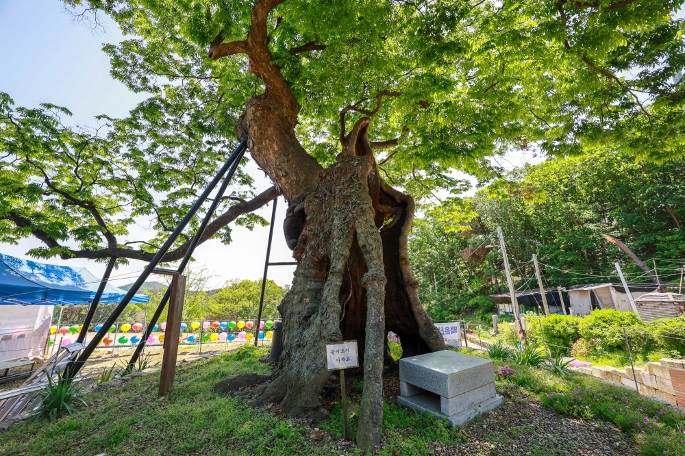 Yonggungsa Temple 02