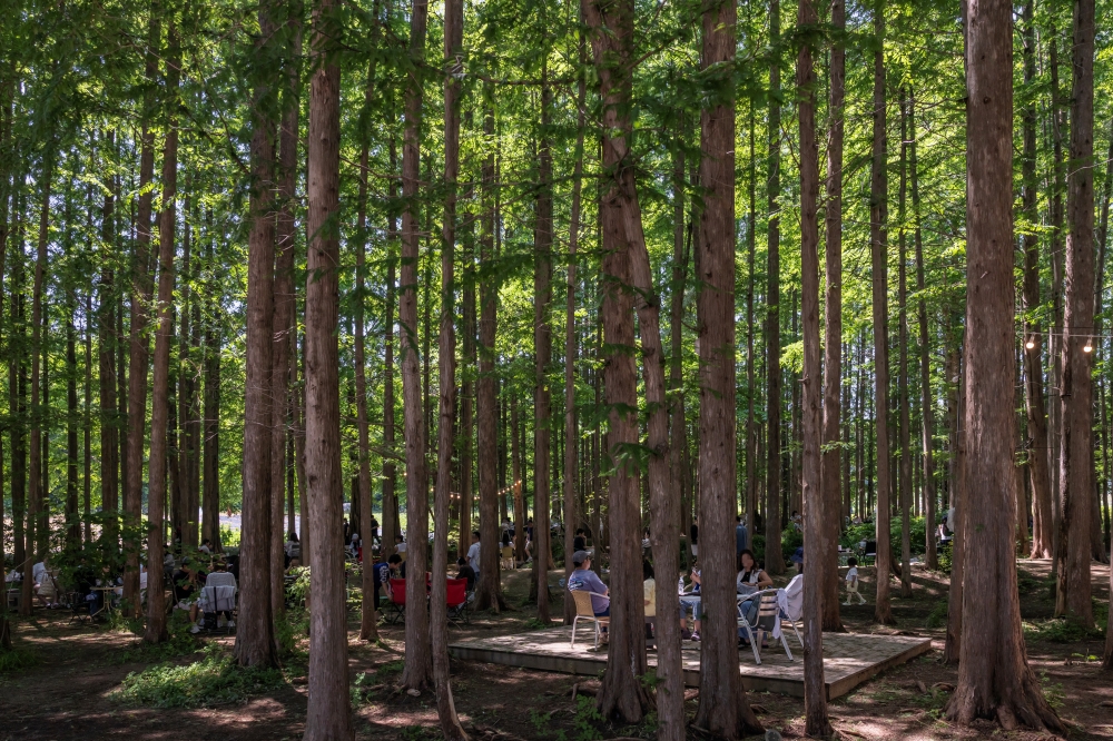 Meta Forest 04
