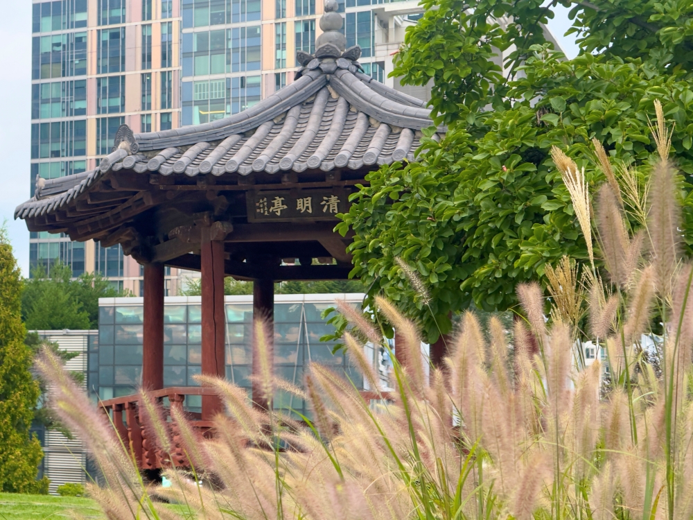 Songdo Central Park 04