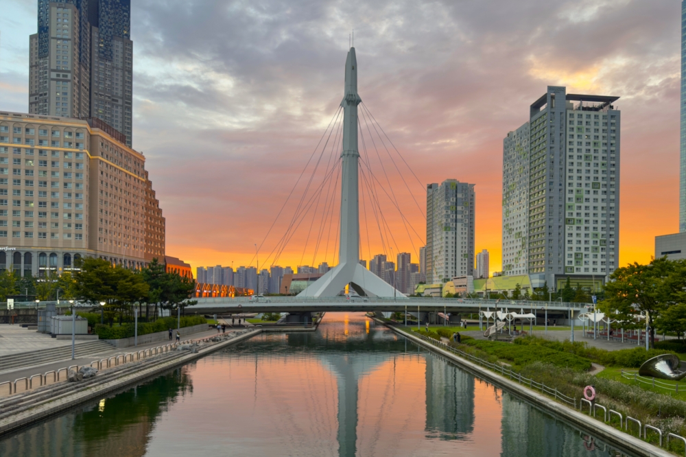 松岛中央公园