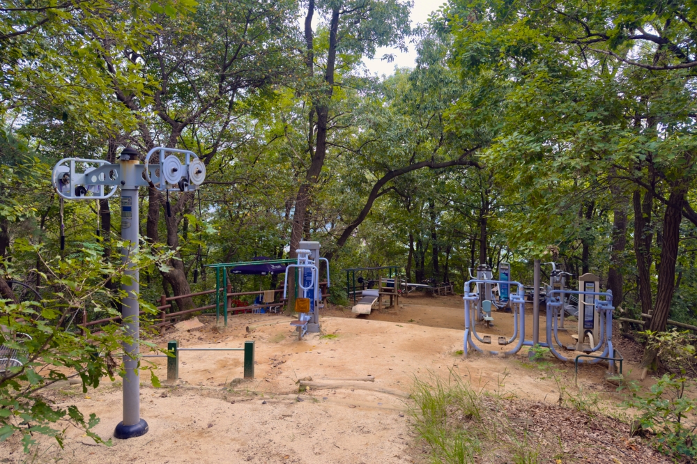 청량산 04