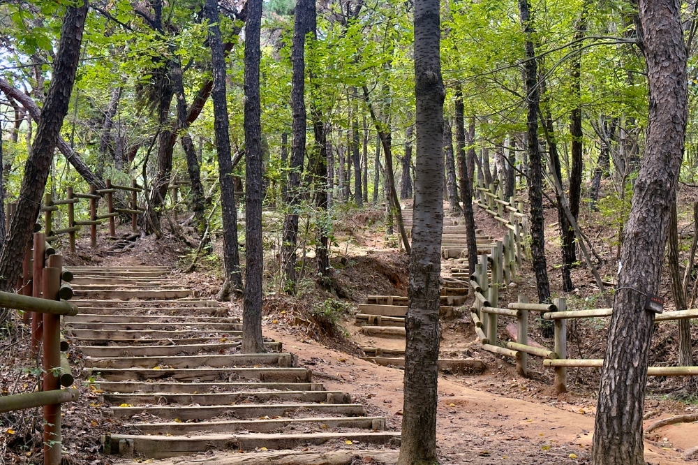 청량산 03