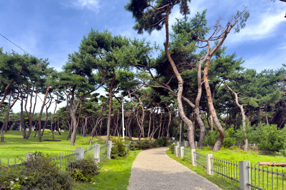 청량산 02