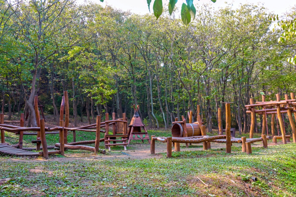 Wonjeoksan Park’s Ginkgo Forest 03