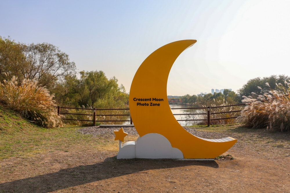 Wildflower Complex Dream Park 04